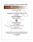 PROJECT REPORT ON MARKETING STRATEGY OF NALCO BY PITABASH BEHERA