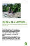 Busan in a Nutshell: What next for the Global Partnership for Effective Development Cooperation?