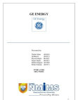 GE Energy Sustainability