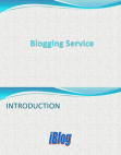 Blogging and website Business Plan