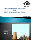Organizational Analysis on SAIL