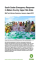 South Sudan Emergency Response in Maban County, Upper Nile State: Mid-Term Review Summary, January–August 2012