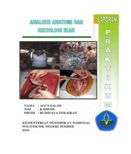 Analisis Anatomi Dan Histologi Ikan