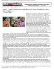 Scribd Document 32475100
