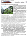 Scribd Document 33457299