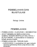 meisosis