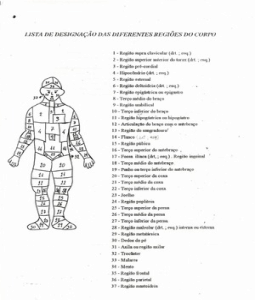 Regiões do Corpo Humano