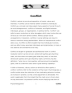 georg simmel positivist