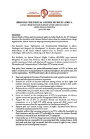 Bridging the Digital Gender Divide in Africa: A policy brief for the summit of the African Union, Addis Ababa, Ethiopia, January 2010