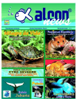 Alcon News 3 - Novembro 2001