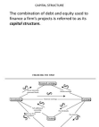 CAPITAL STRUCTURE
