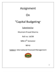 Capital Budgeting