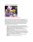 Scribd Document 63928799